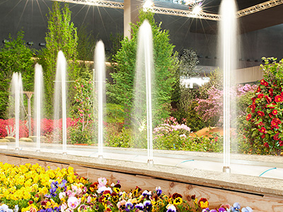 Fountains at Euroflora 2011